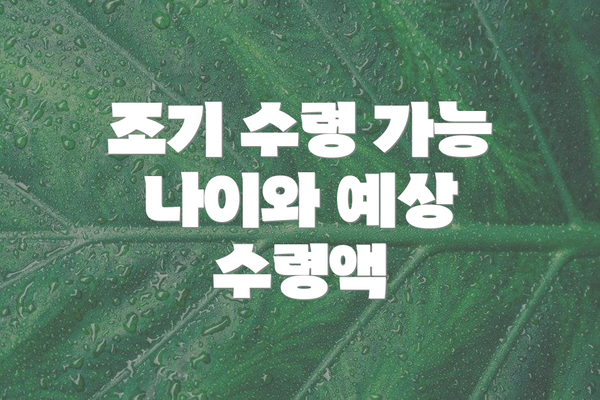 조기 수령 가능 나이와 예상 수령액