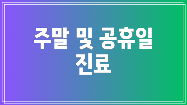 주말 및 공휴일 진료