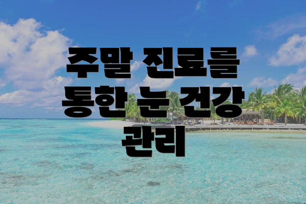 주말 진료를 통한 눈 건강 관리