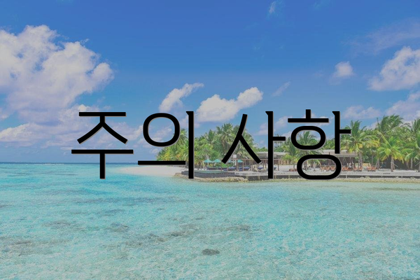 주의 사항