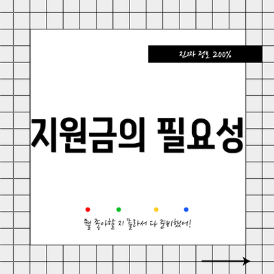 지원금의 필요성