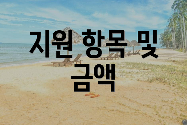 지원 항목 및 금액