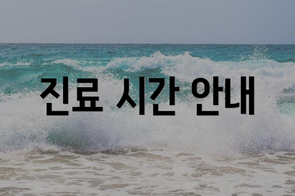 진료 시간 안내