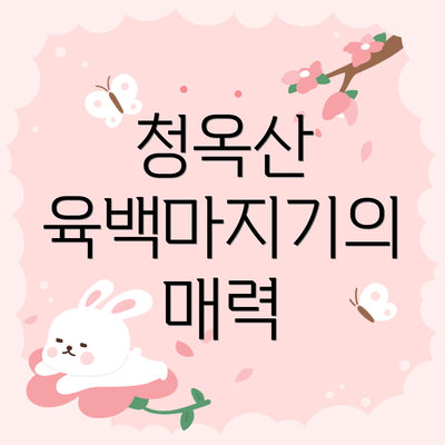 청옥산 육백마지기의 매력