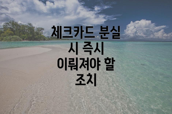체크카드 분실 시 즉시 이뤄져야 할 조치