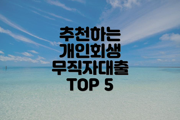 추천하는 개인회생 무직자대출 TOP 5