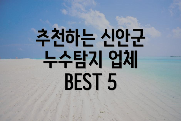 추천하는 신안군 누수탐지 업체 BEST 5