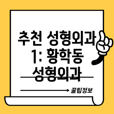추천 성형외과 1: 황학동 성형외과