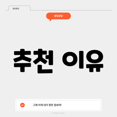 추천 이유