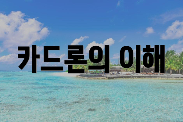카드론의 이해