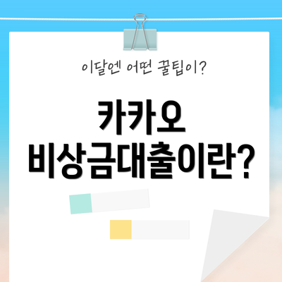 카카오 비상금대출이란?
