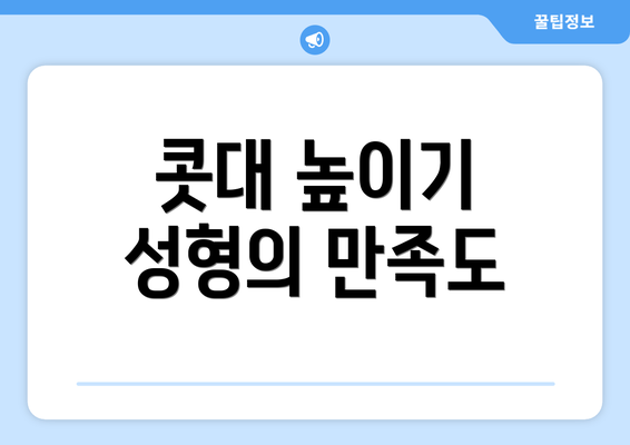 콧대 높이기 성형의 만족도
