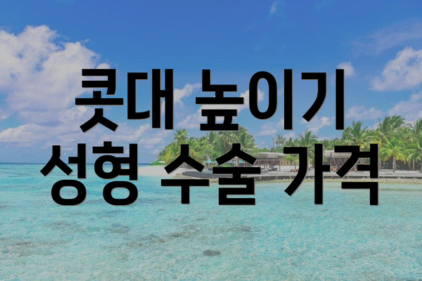 콧대 높이기 성형 수술 가격