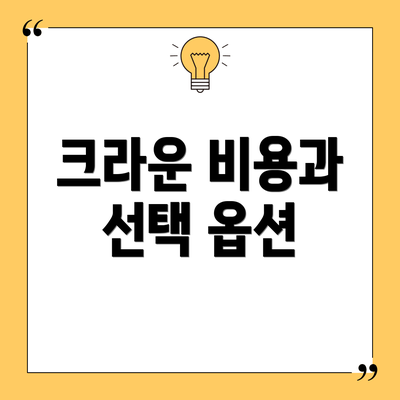 크라운 비용과 선택 옵션
