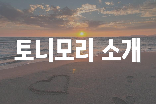 토니모리 소개