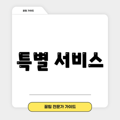 특별 서비스