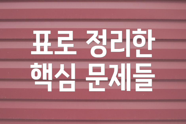 표로 정리한 핵심 문제들