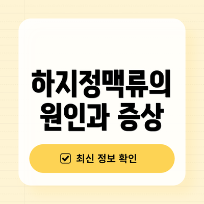 하지정맥류의 원인과 증상