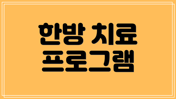 한방 치료 프로그램
