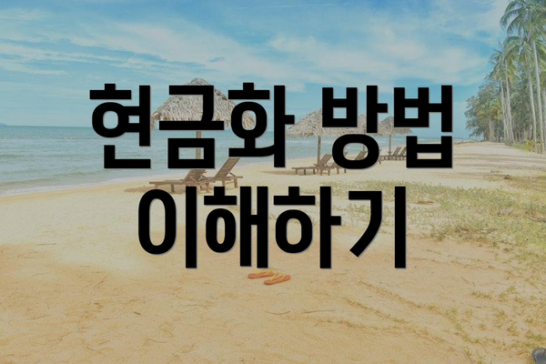 현금화 방법 이해하기