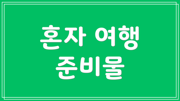 혼자 여행 준비물