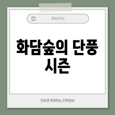 화담숲의 단풍 시즌