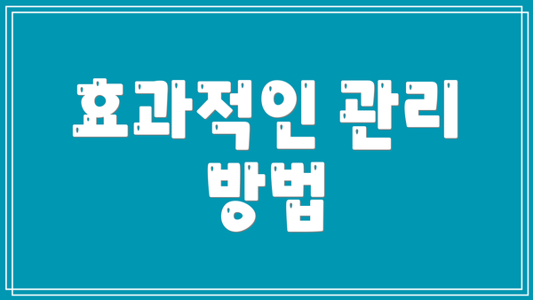 효과적인 관리 방법