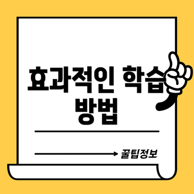 효과적인 학습 방법