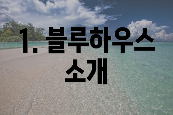 1. 블루하우스 소개