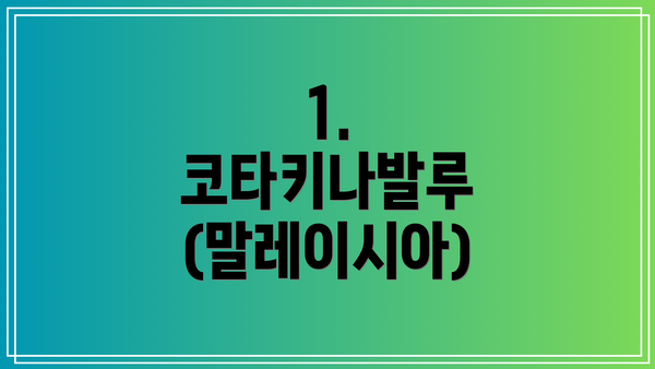 1. 코타키나발루 (말레이시아)