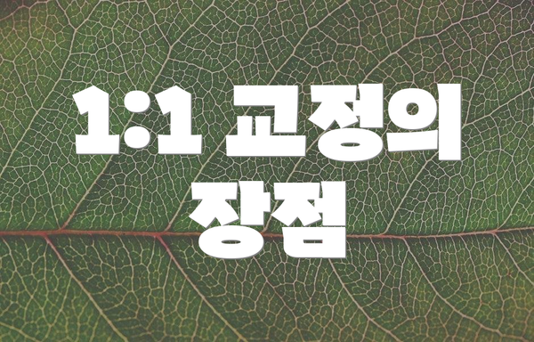 1:1 교정의 장점