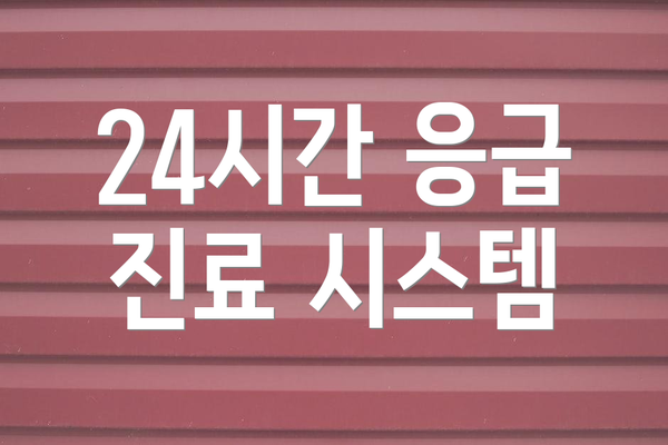 24시간 응급 진료 시스템