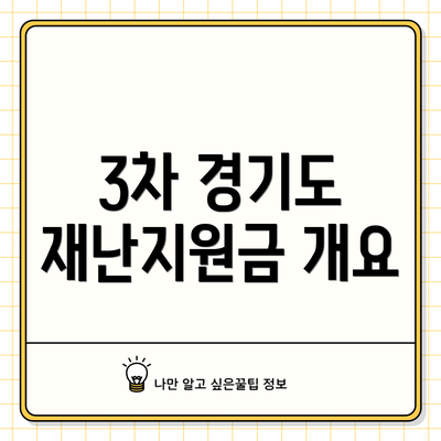 3차 경기도 재난지원금 개요