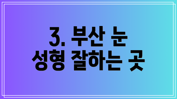 3. 부산 눈 성형 잘하는 곳