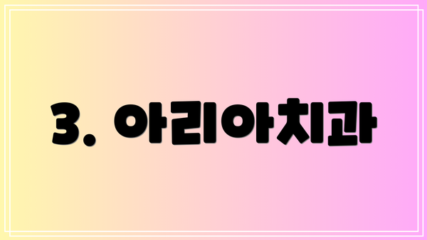 3. 아리아치과