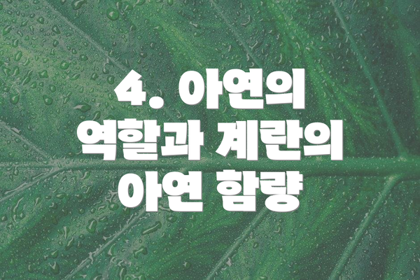 4. 아연의 역할과 계란의 아연 함량