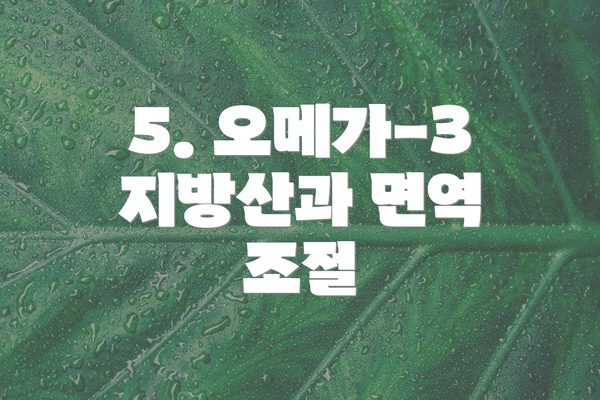 5. 오메가-3 지방산과 면역 조절