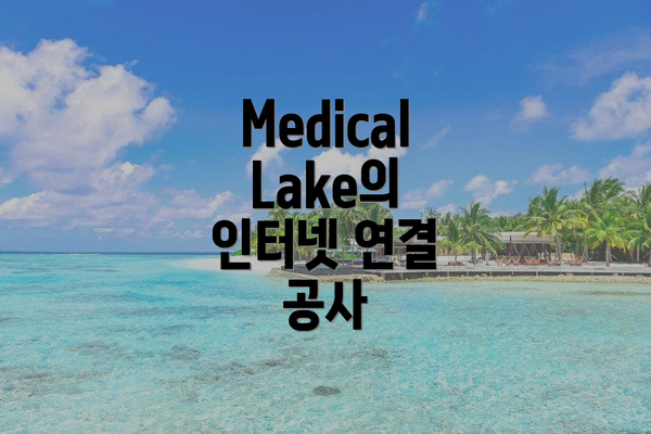 Medical Lake의 인터넷 연결 공사