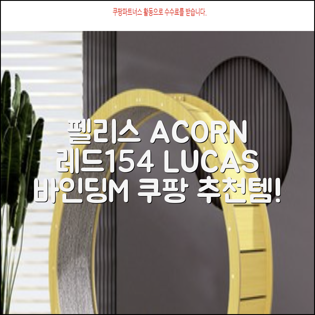 FELICE 장비세트6 ACORN데크 바인딩 LUCAS부츠, WESTSIDE 레드154+바인딩M, 1개 추천 리뷰