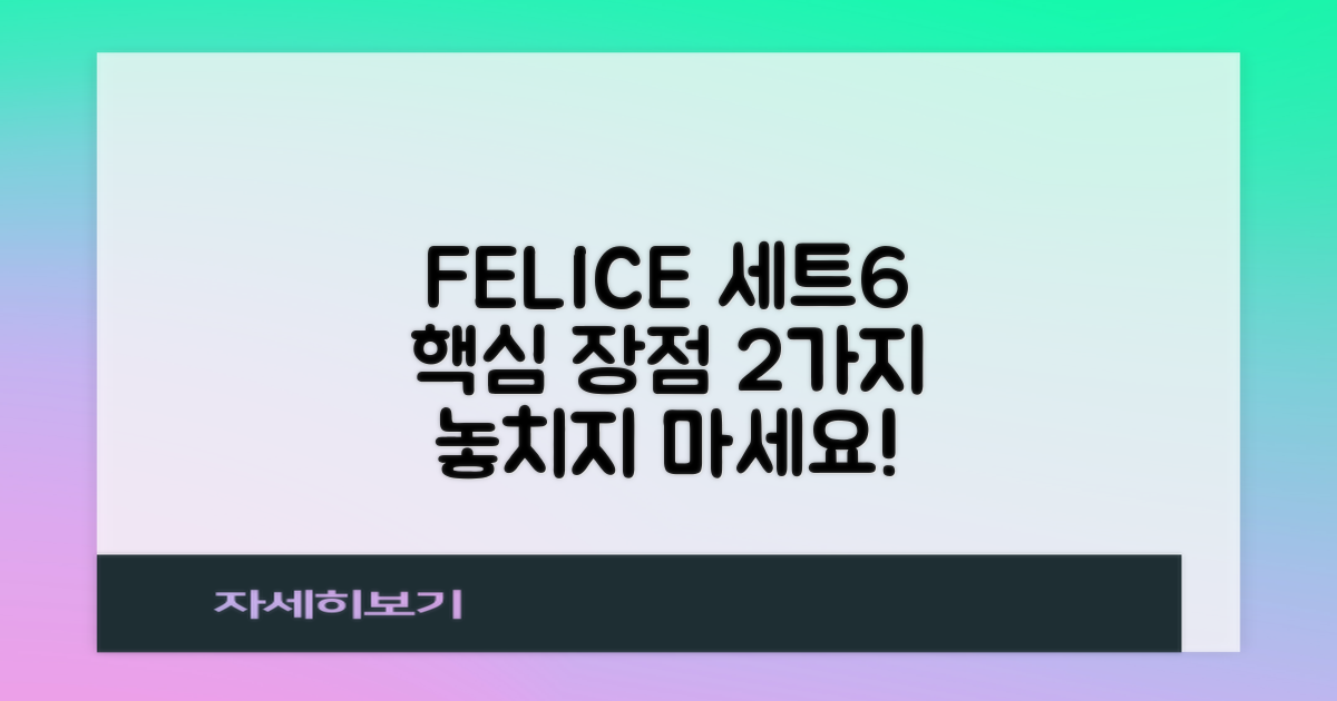 FELICE 세트6 핵심 장점 2가지