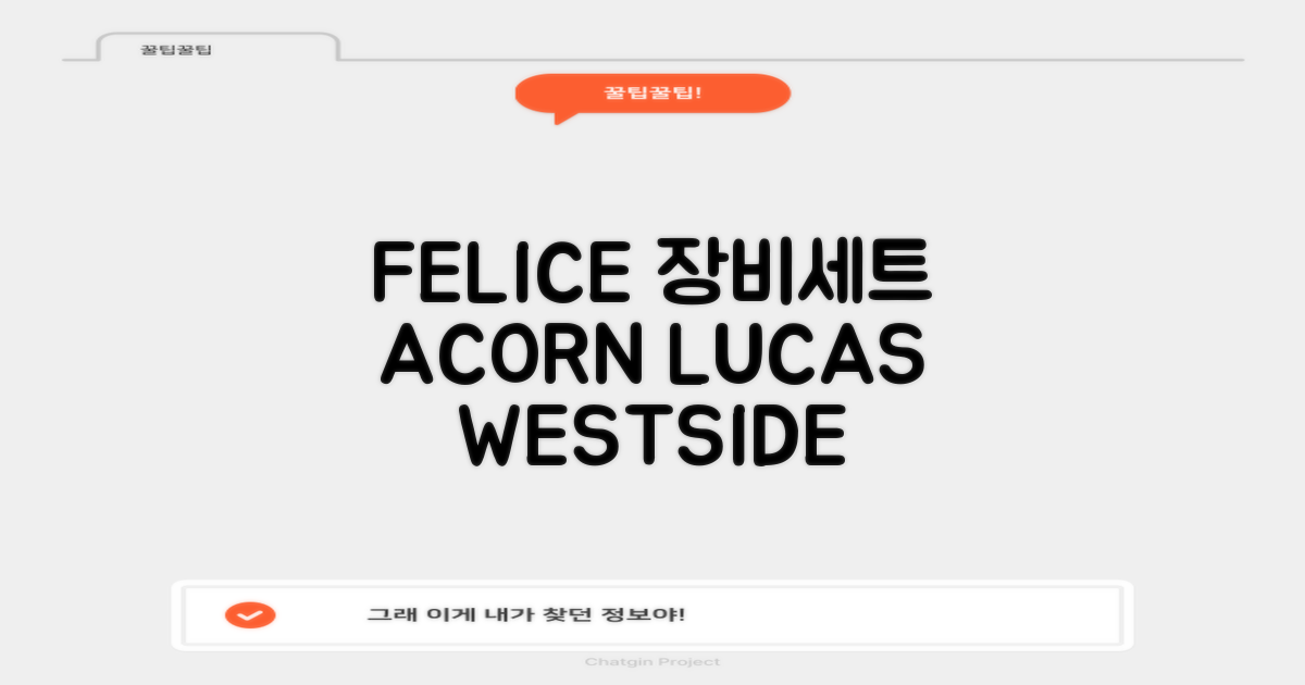 FELICE 장비세트6 ACORN데크 바인딩 LUCAS부츠, WESTSIDE 레드154+바인딩M, 1개 추천 리뷰