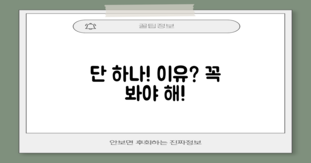 1가지 추천 이유