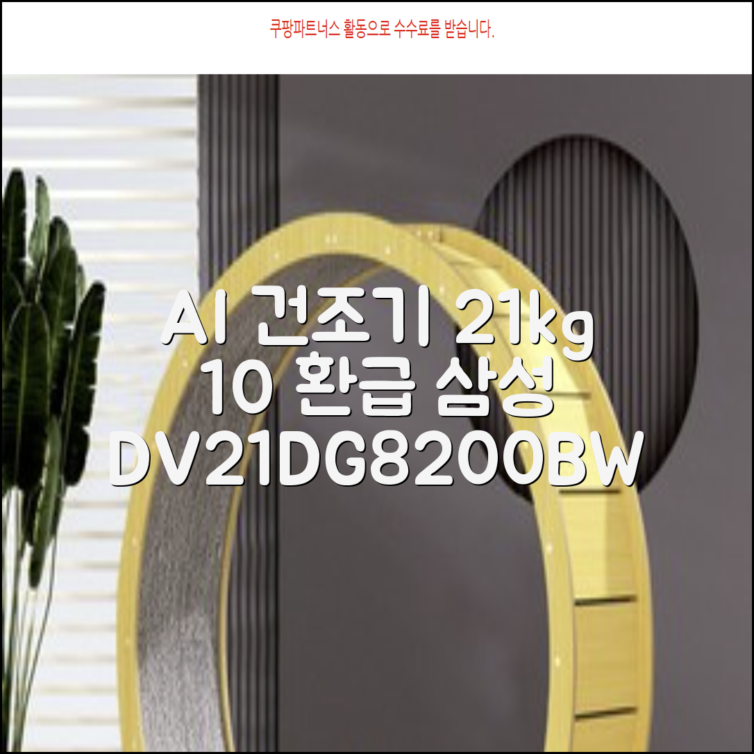 [10% 환급가전] 삼성전자 AI 건조기 DV21DG8200BW 21kg 방문설치, 화이트 추천 리뷰