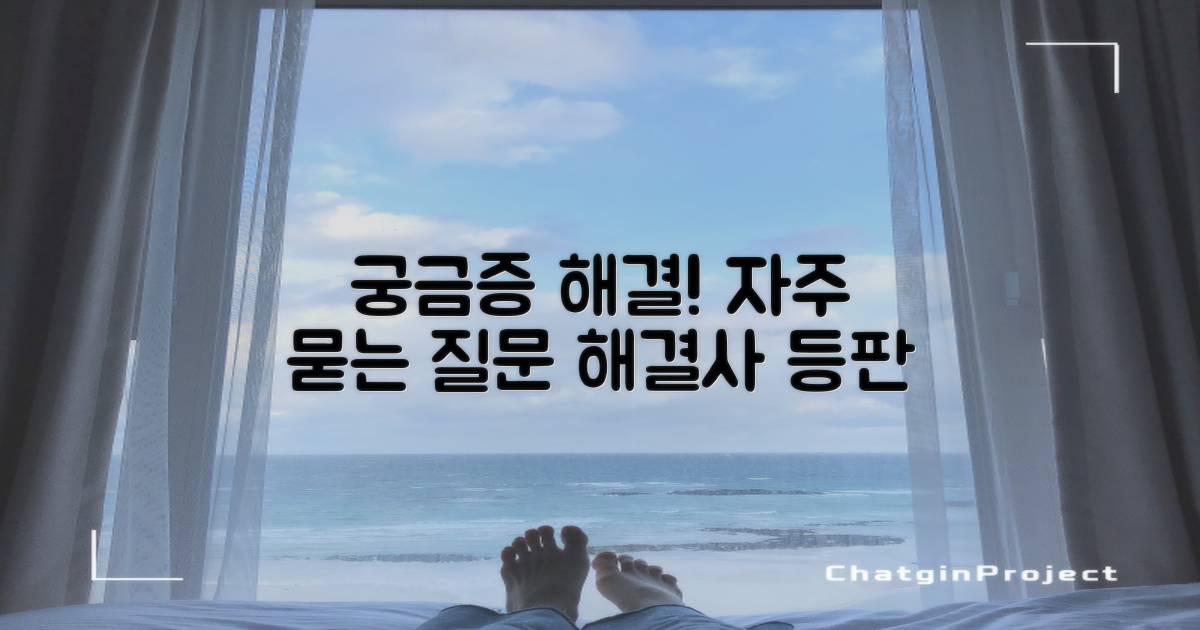자주 묻는 질문