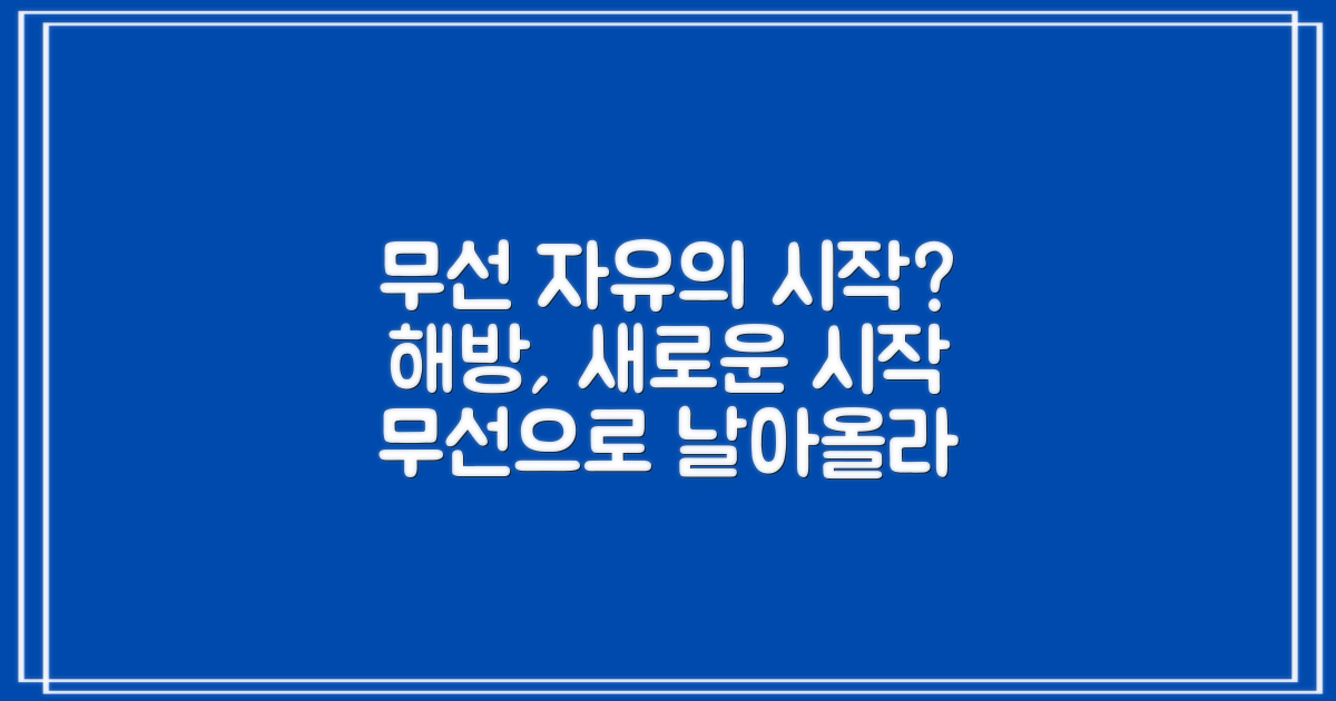 무선, 자유로움의 시작?